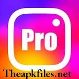 Insta-Pro-2