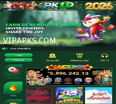 pk11-game