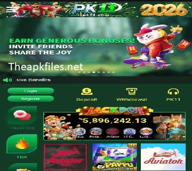 pk11-game