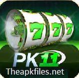 pk11-game