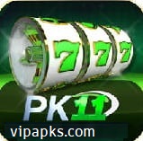 pk11-game